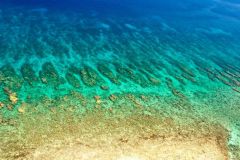 blogs gallery - reef
