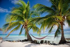 blogs gallery - beaches
