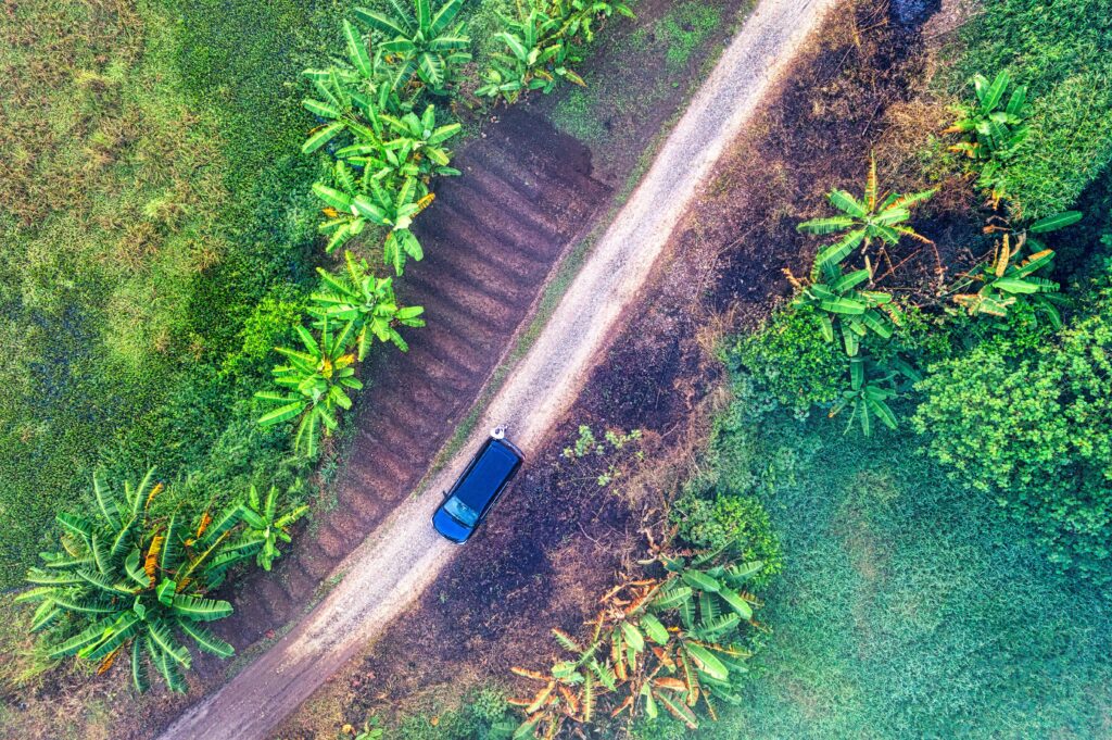Aerial view of a rental car driving through the lush tropical jungle landscape of mainland Belize.
