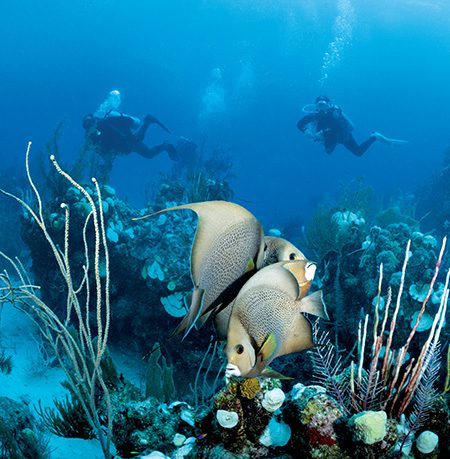 Aerial view of the Great Blue Hole in Belize, a top-rated UNESCO World Heritage dive site for 2026.