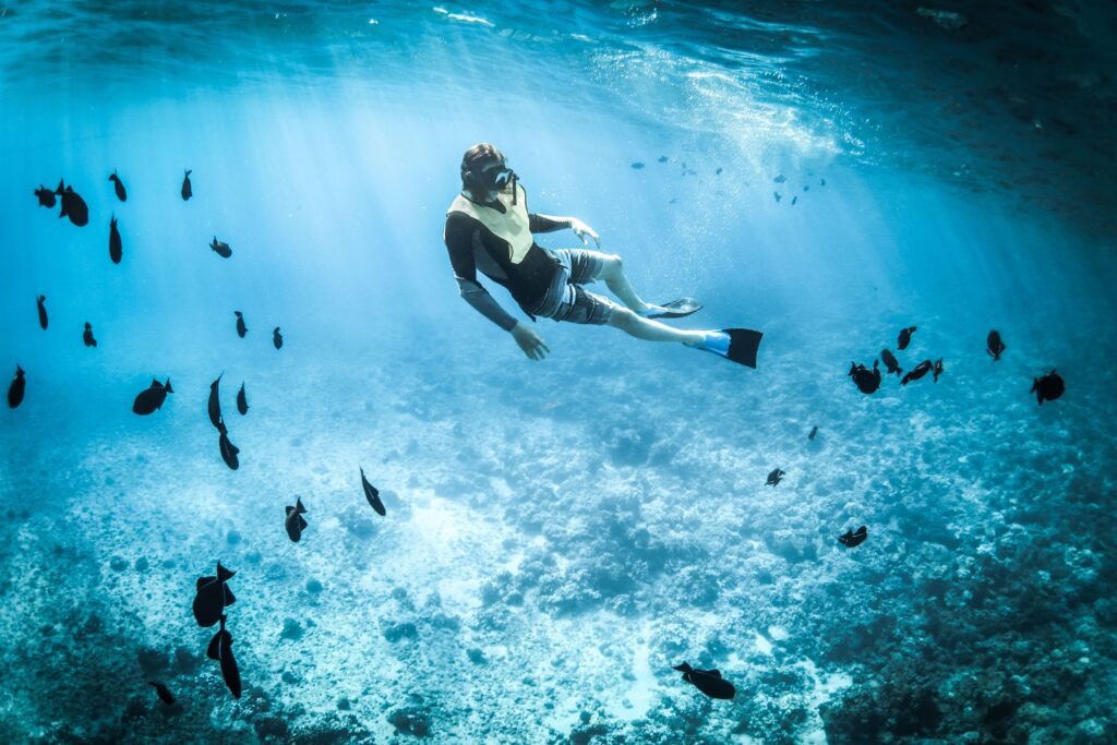 A tourist snorkeling in the clear blue waters of the Belize Barrier Reef, surrounded by a school of small fish over a sandy ocean floor.